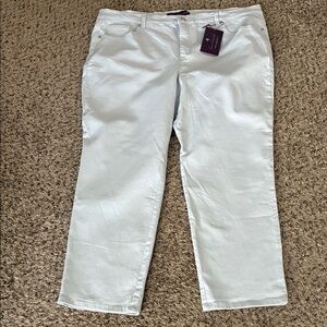 Gloria Vanderbilt Amanda Jeans Gray Plus SZ 20W Short New With Tag!